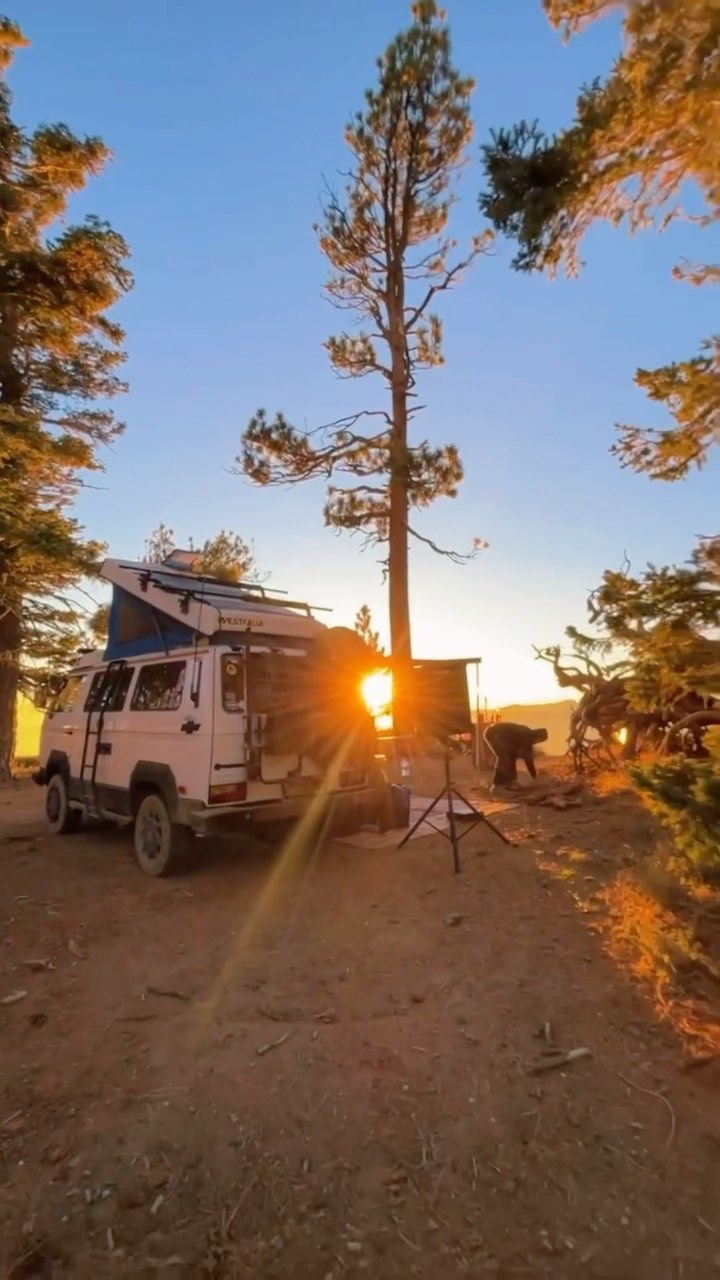 Westfalia campsite with sunrise through trees